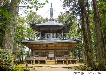 世界遺産高野山　壇上伽藍　西塔　和歌山県 125751875