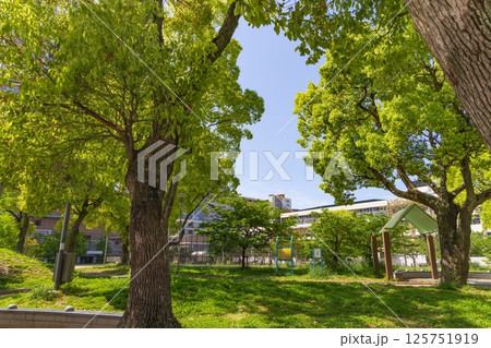 若松公園・新緑の風景　神戸市長田区新長田にて 125751919