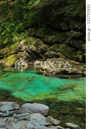 高知県 仁淀川町 安居渓谷 水面がゆれる水晶淵 高知県 仁淀川町 安居渓谷 水面がゆれる水晶淵 125751935