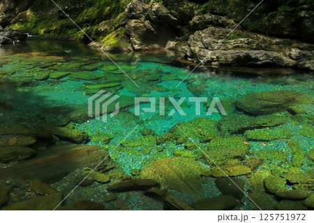 高知県 仁淀川町 安居渓谷 水晶淵 125751972