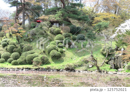 ダイサギ 125752021