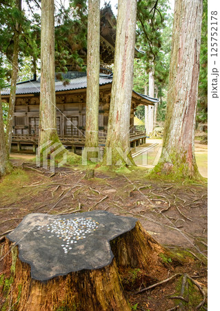 高野山 中門用材伐採切株と西塔 和歌山県 高野山 中門用材伐採切株と西塔 和歌山県 125752178