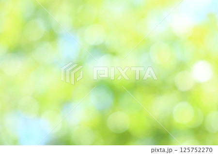 山桜の若葉のアウトフォーカス 【丸ボケ】 【ぼかし】 125752270