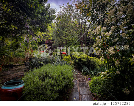 Rustic garden scene with trees, grass, wheelbarrow, countryside foliage, hedge, and vibrant natural growth in a tranquil space 125752283