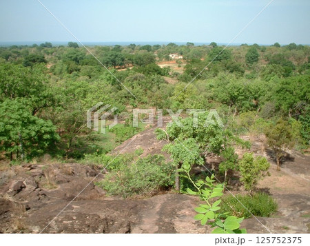 モレ国立公園@ガーナ ☆mar_lapin モレ国立公園@ガーナ ☆mar_lapin 125752375