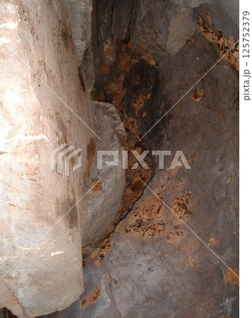 モレ国立公園＠ガーナ　☆mar_lapin 125752379