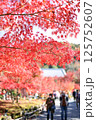 鮮やかな日本の紅葉 125752607