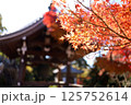 鮮やかな日本の紅葉 125752614