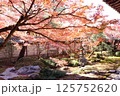 鮮やかな日本の紅葉・庭園 125752620