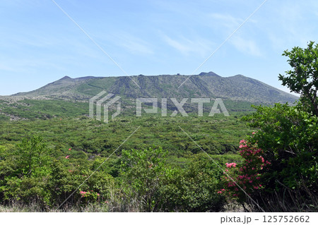 5月の伊豆大島三原山 125752662