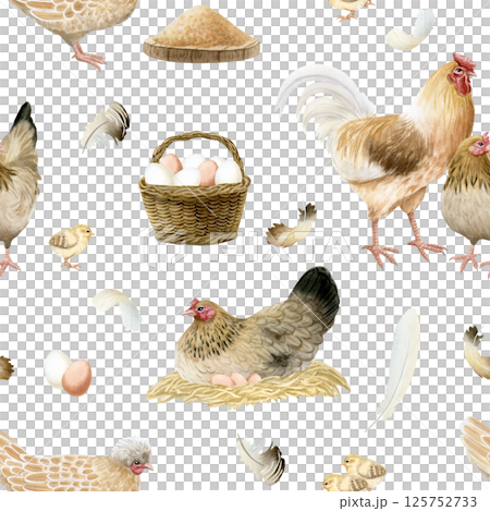 Village chickens, rooster and chicks with eggs and feathers watercolor seamless pattern on white. Poultry yard birds for farm designs. Realistic fowls repeat background for pastel beige fall designs 125752733