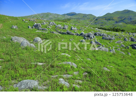 【福岡県】三笠台から見た新緑の平尾台カルスト 【福岡県】三笠台から見た新緑の平尾台カルスト 125753648