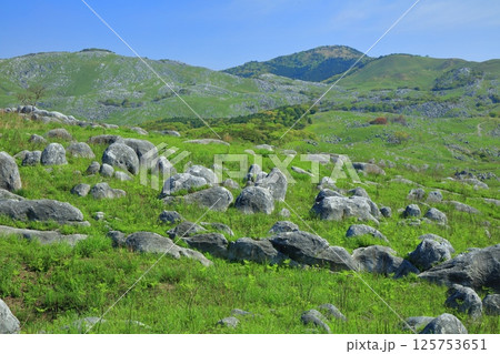【福岡県】三笠台から見た新緑の平尾台カルスト 【福岡県】三笠台から見た新緑の平尾台カルスト 125753651