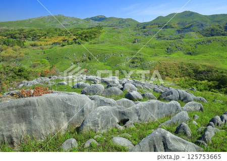【福岡県】三笠台から見た新緑の平尾台カルスト 125753665