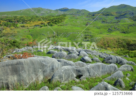 【福岡県】三笠台から見た新緑の平尾台カルスト 【福岡県】三笠台から見た新緑の平尾台カルスト 125753666