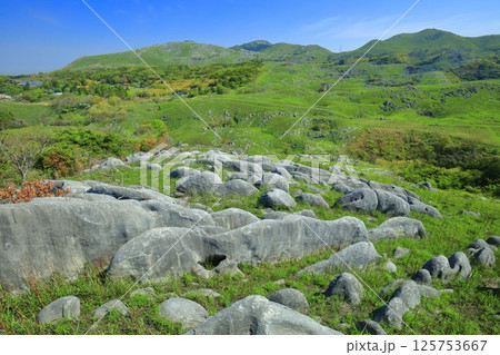 【福岡県】三笠台から見た新緑の平尾台カルスト 125753667
