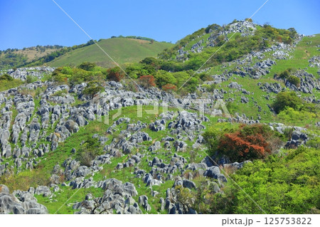 【福岡県】茶ケ床園地から見た新緑の平尾台カルスト 125753822