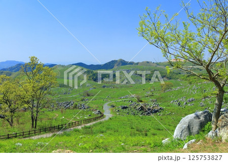【福岡県】茶ケ床園地から見た新緑の平尾台カルスト 125753827