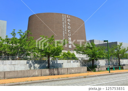 【福岡県】快晴の北九州市立いのちのたび博物館 【福岡県】快晴の北九州市立いのちのたび博物館 125753831