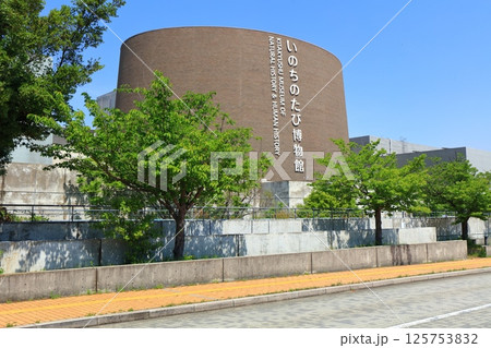 【福岡県】快晴の北九州市立いのちのたび博物館 125753832