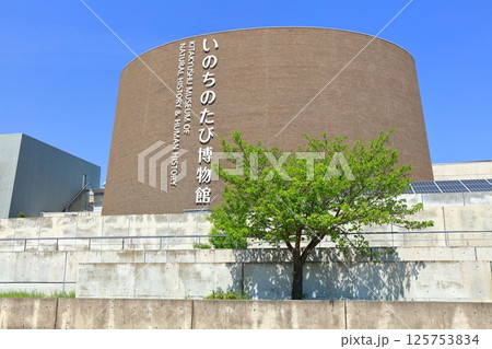 【福岡県】快晴の北九州市立いのちのたび博物館 125753834