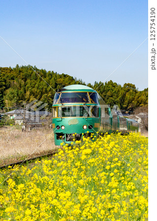 菜の花とゆふいんの森 125754190