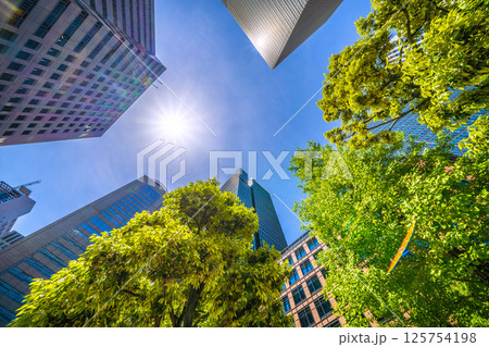 日本の東京都市景観5月。アーバンネット大手町ビルなど大手町のビジネス街などを望む 125754198