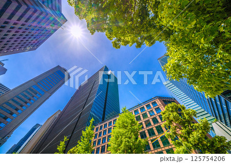 日本の東京都市景観5月。アーバンネット大手町ビルなど大手町のビジネス街などを望む 日本の東京都市景観5月。アーバンネット大手町ビルなど大手町のビジネス街などを望む 125754206