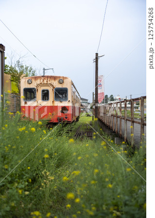 小湊鐵道 上総牛久駅の風景 小湊鐵道 上総牛久駅の風景 125754268