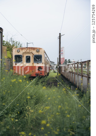 小湊鐵道 上総牛久駅の風景 小湊鐵道 上総牛久駅の風景 125754269