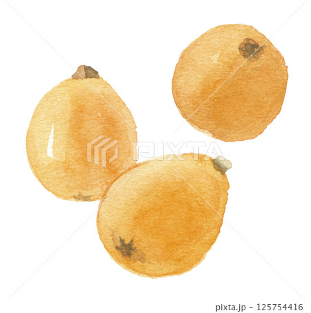 水彩で描いた枇杷の実　3個　 125754416