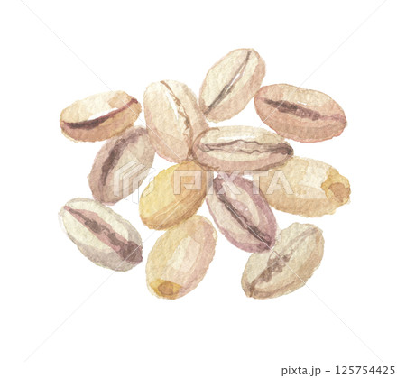 水彩で描いた大麦の実 125754425