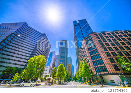 日本の東京都市景観5月。ハロやアーバンネット大手町ビルなど大手町のビジネス街などを望む 125754563