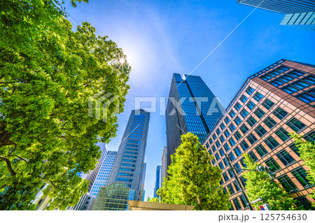 日本の東京都市景観5月。ハロや大手町ビルヂィング、大手町タワーなど大手町のビジネス街などを望む 日本の東京都市景観5月。ハロや大手町ビルヂィング、大手町タワーなど大手町のビジネス街などを望む 125754630