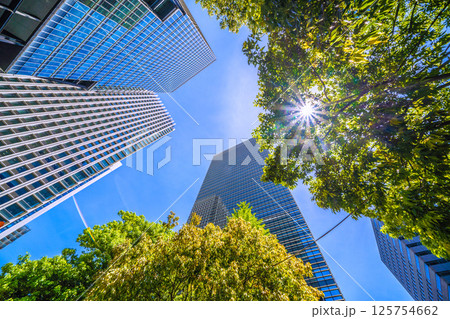 日本の東京都市景観5月。大手町プレイスや産経新聞社など大手町のビジネス街などを望む 日本の東京都市景観5月。大手町プレイスや産経新聞社など大手町のビジネス街などを望む 125754662