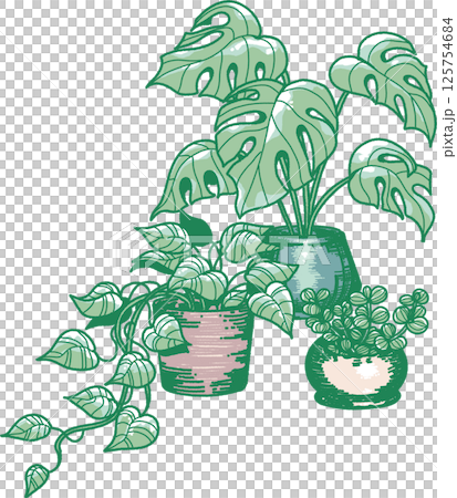 3種類の観葉植物のイラスト 125754684