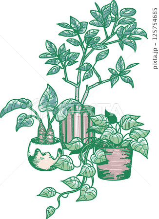 3種類の観葉植物のイラスト 125754685