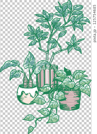 三種室內植物的插圖 125754685