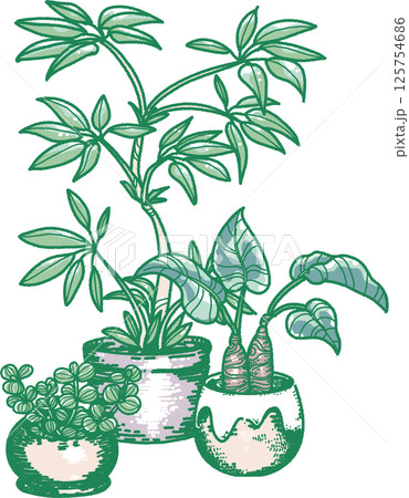 3種類の観葉植物のイラスト 3種類の観葉植物のイラスト 125754686