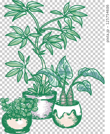 三種室內植物的插圖 125754686