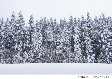 大雪が降った氷ノ山の風景 鳥取県 若桜町 125754713