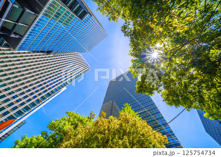 日本の東京都市景観5月。大手町プレイスや産経新聞社など大手町のビジネス街などを望む 日本の東京都市景観5月。大手町プレイスや産経新聞社など大手町のビジネス街などを望む 125754734