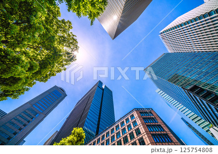 日本の東京都市景観5月。ハロや大手町タワーなど大手町のビジネス街などを望む 125754808