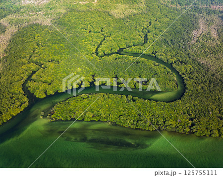 Aerial top down view of Koh Prathong Island, Thailand mangrove forest background texture 125755111