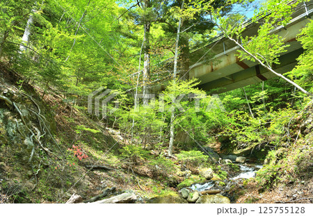 栃木県那須塩原市　塩原渓谷にある回顧の滝へ流れる小川と回顧橋 125755128