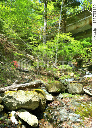 栃木県那須塩原市　塩原渓谷にある回顧の滝へ流れる小川と回顧橋 125755129