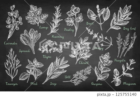 Collection of Chalk Herb Sketches 125755140