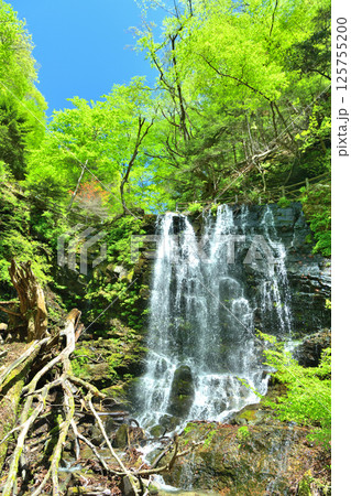 栃木県那須塩原市 新緑の季節を迎える塩原渓谷と梵天の滝 栃木県那須塩原市 新緑の季節を迎える塩原渓谷と梵天の滝 125755200