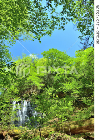 栃木県那須塩原市　新緑の季節を迎える塩原渓谷と梵天の滝 125755206
