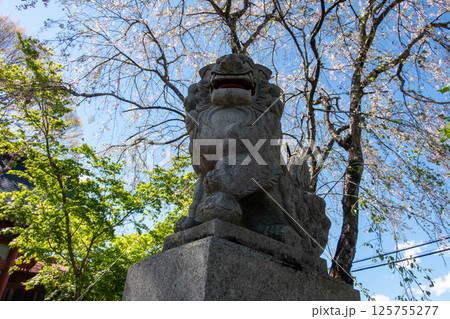 吾嬬神社 狛犬 群馬県中之条町 吾嬬神社 狛犬 群馬県中之条町 125755277